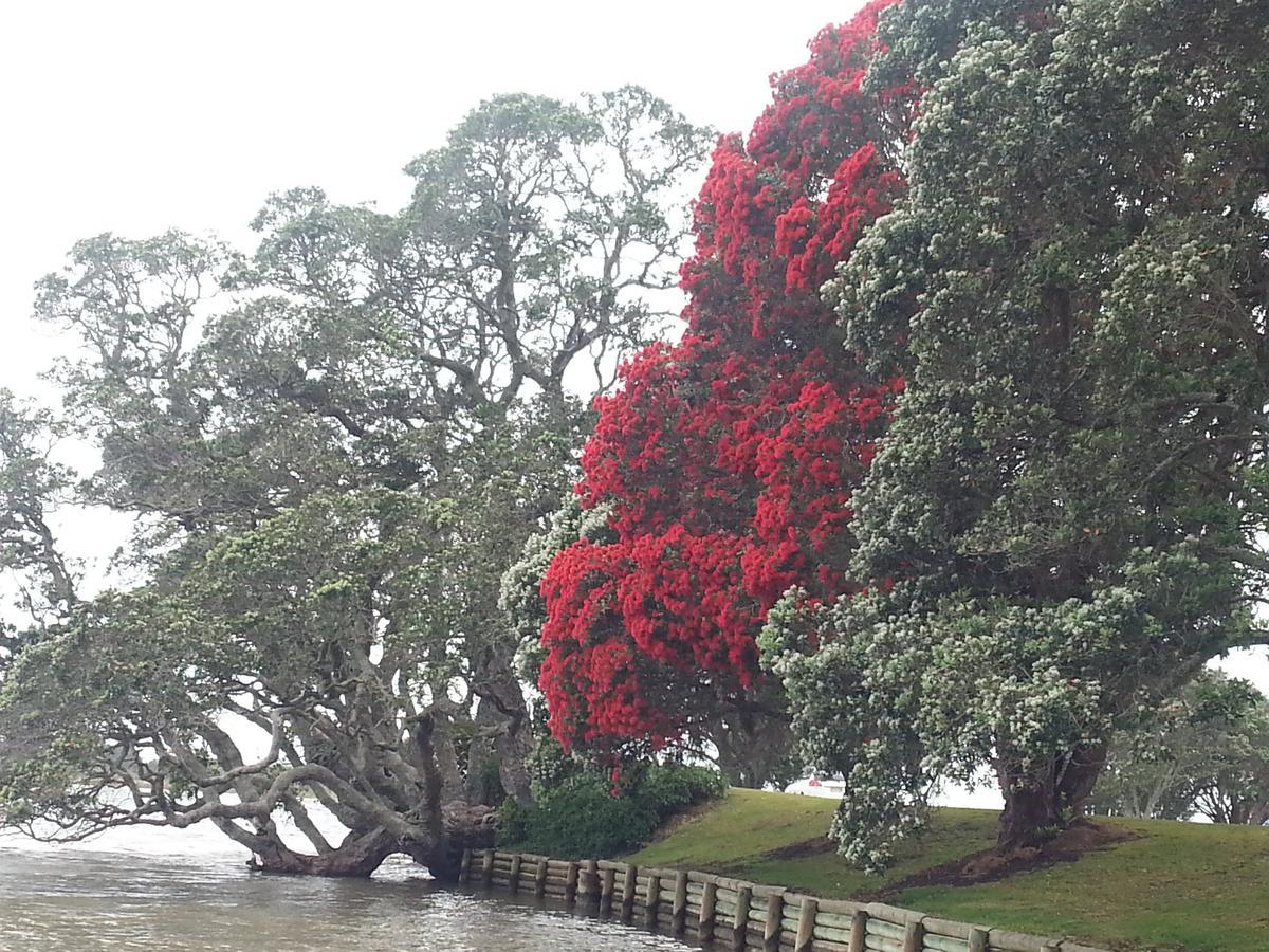 Athenree Hot Springs & Holiday Park Waihi Eksteriør billede